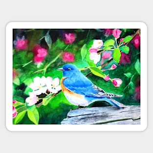 Eastern Bluebird in Blossoms Watercolor Painting Sticker